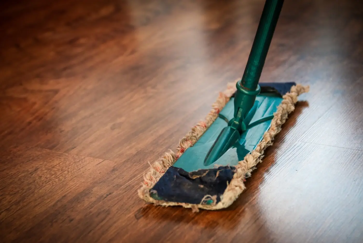 Debunking Common Myths About Janitorial Services